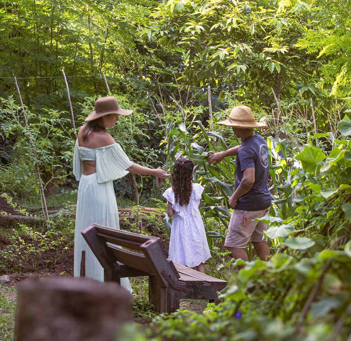 Família colhendo milho na agrofloresta orgânica do Restaurante do Vale em Fernando de Noronha
